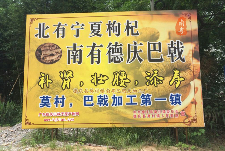 巴戟天加工***大鎮(zhèn)