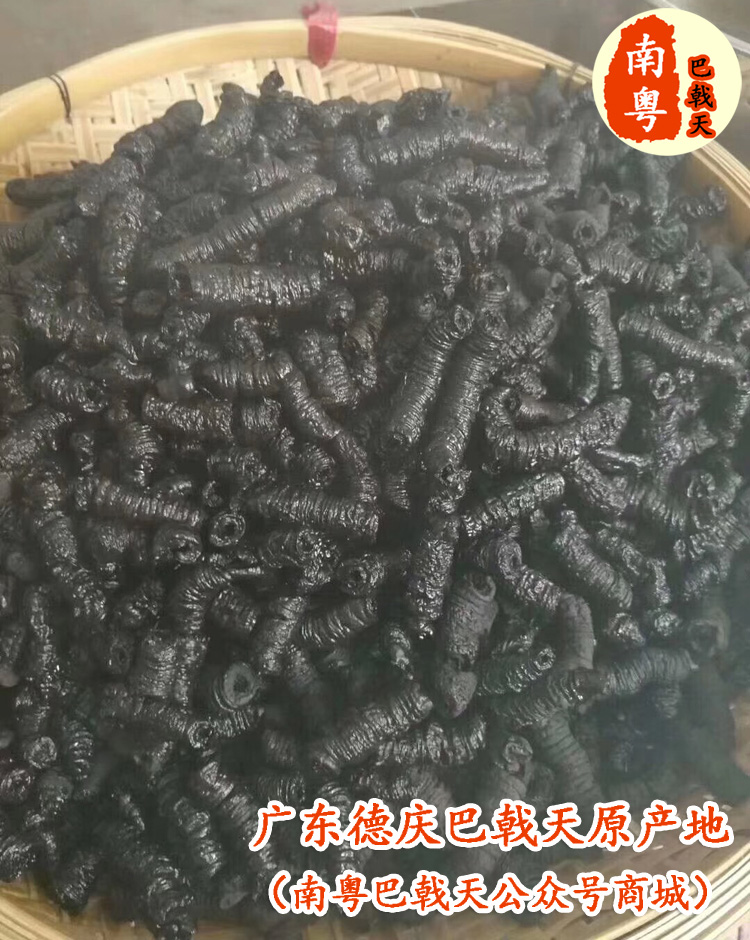 巴戟天原產(chǎn)地傳統(tǒng)工藝流程