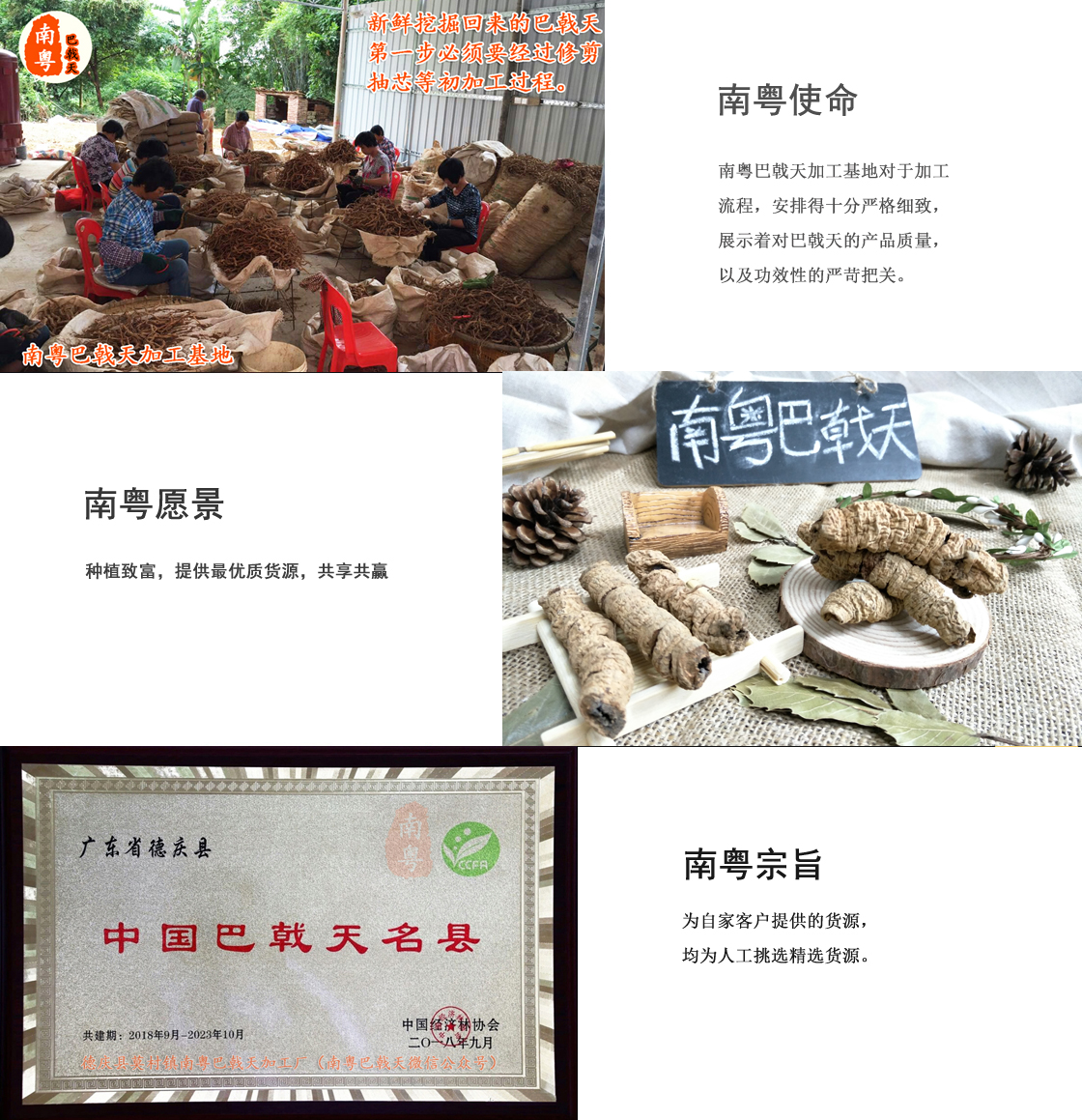 德慶南粵巴戟天產(chǎn)地文化
