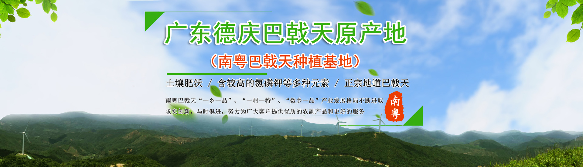 南粵巴戟天